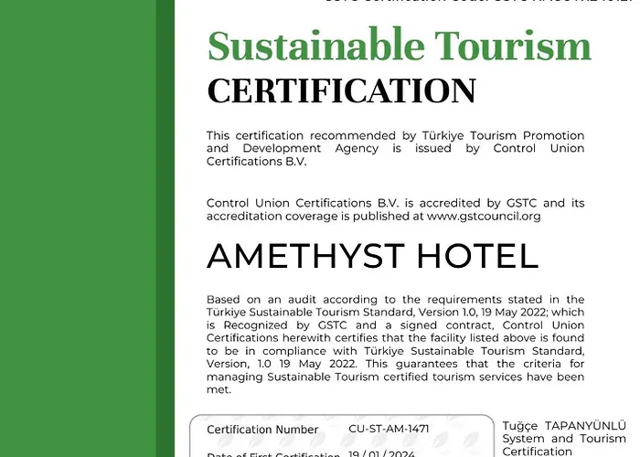 Amethyst Hotel Istambul